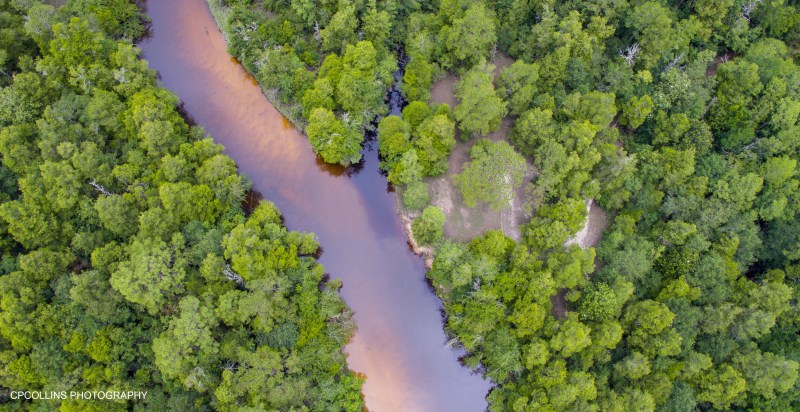 Untitled-1 for Blog.jpg